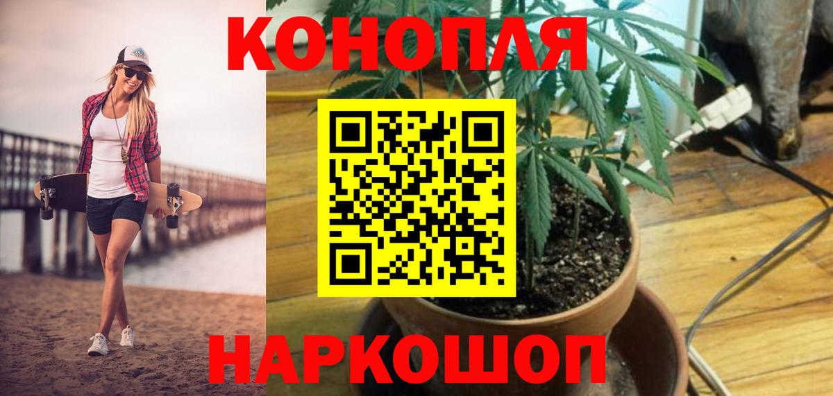 Бошки Шишки планчик Острогожск